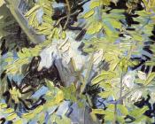 花朵盛开的金合欢树枝 - 文森特·威廉·梵高